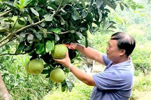 Lâm Bình, Tuyên Quang: HTX tạo chuyển biến trong xây dựng nông thôn mới