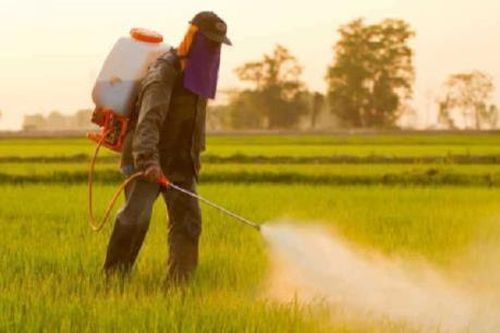 Thái Lan cấm 3 loại hóa chất độc hại trong sản xuất nông nghiệp