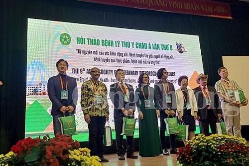 Các chuyên gia thế giới bàn chuyện chống dịch tả lợn tại Việt Nam