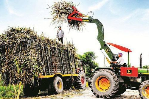 SBT trình kế hoạch lợi nhuận 430 tỷ đồng niên khóa 2019 -2020