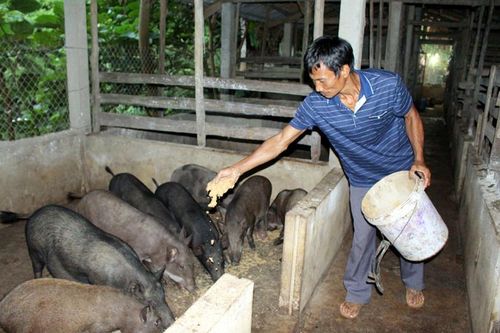 Người đi đầu trong các phong trào ở Văn Lương 2