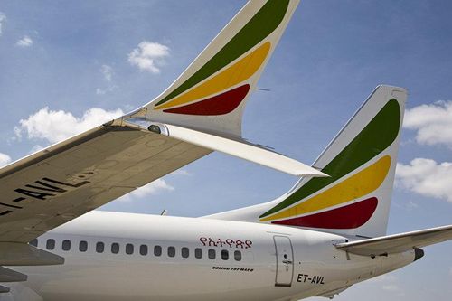American Airlines chưa cho phép Boeing 737 MAX tiếp tục bay