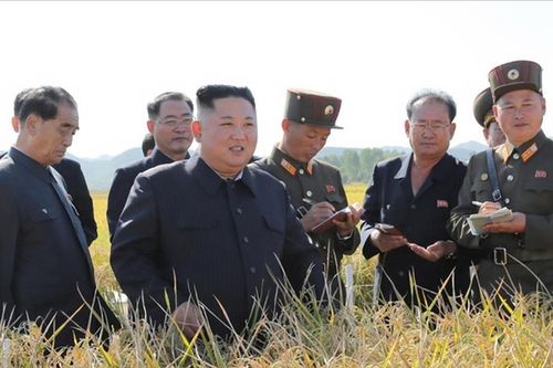 Ông Kim Jong Un đi thăm nông trường sau khi đàm phán Mỹ - Triều bế tắc