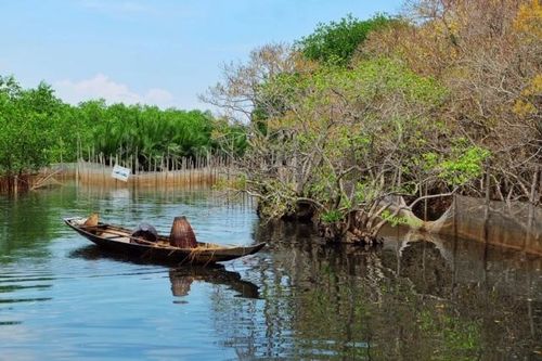 Phát động cuộc thi vẽ 'Rừng ngập mặn bảo vệ cuộc sống, giảm thiểu tác động của biến đổi khí hậu'