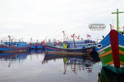 Xử lý nợ xấu cho vay theo Nghị định 67