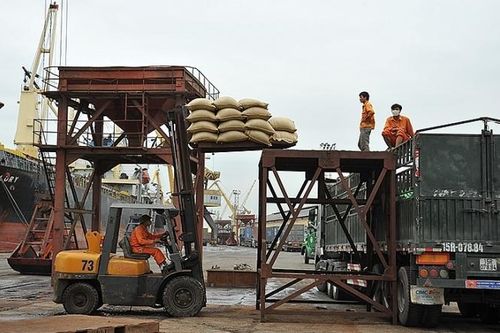 Xuất khẩu gạo: Không còn nỗi lo phụ thuộc