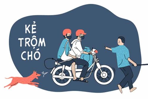 Bất lực với 'cẩu tặc'?