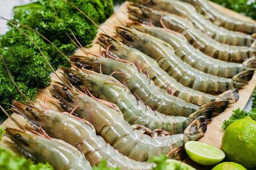 Dự báo xuất khẩu tôm sang Trung Quốc tiếp tục duy trì tăng trưởng dương