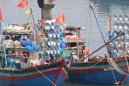 Triển khai nhiều giải pháp chống khai thác hải sản bất hợp pháp