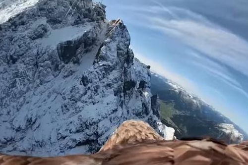 Hình ảnh độc đáo về sự tan chảy của sông băng trên dãy Alps do 'đại bàng quay'
