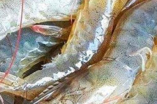 Thêm 1 bước này, tôm bảo quản trong tủ lạnh tươi như mới lại không bị mùi
