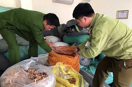 Quản lý chất lượng nguồn dược liệu và thuốc đông y