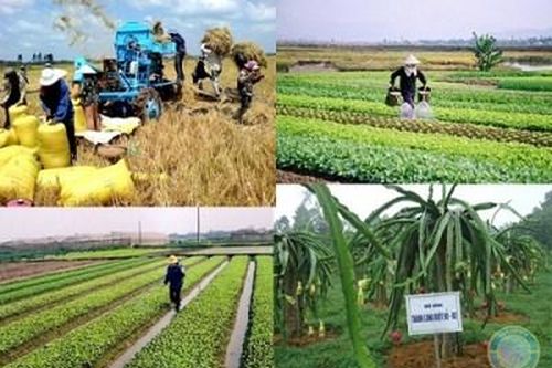 Vốn ngân hàng góp phần xây dựng nông thôn mới