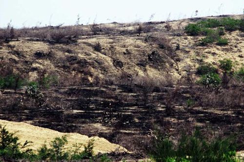 Không để lòng tin bị đánh mất
