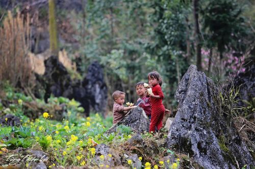 Ngắm Mã Pì Lèng không cần sàn bê tông, đừng ngụy biện với Panorama