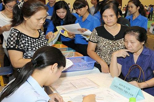 Tổ chức sàn giao dịch việc làm cho người cao tuổi