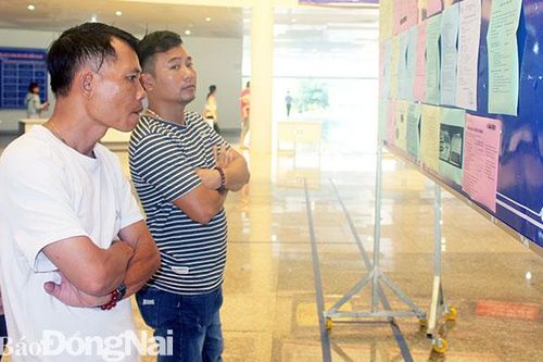 245 lượt người lao động được tư vấn việc làm