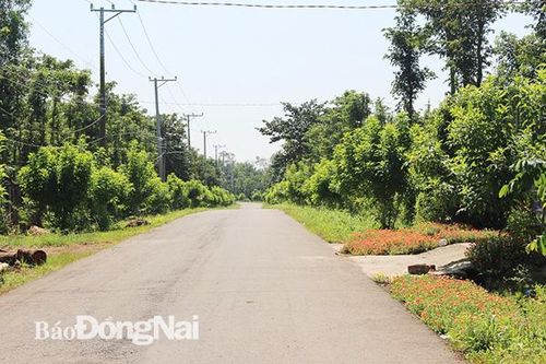 Cho vay xây dựng nông thôn mới tăng hơn 31%