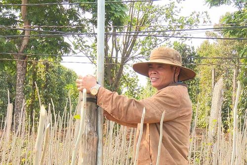 Làm giàu nhờ chuyển đổi cây trồng, vật nuôi