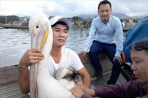 Kinh tế Kinh tế Hài hòa giữa bảo tồn và phát triển