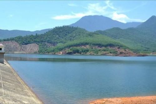 Kinh tế Nông nghiệp - Nông thôn Sai phạm trong giao và quản lý rừng ở Phú Lộc – bài 1: Lộ diện sai phạm
