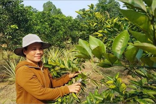 Chính trị - Xã hội Phụ nữ Người phụ nữ Cơ Tu năng động