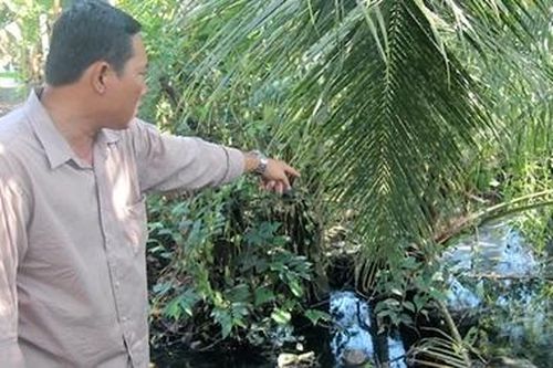 Chủ quán cơm Kiều Giang bị xử phạt vì gây ô nhiễm môi trường