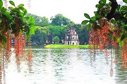 Bền bỉ một tình yêu Hà Nội