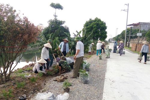 Những khu dân cư 3 không