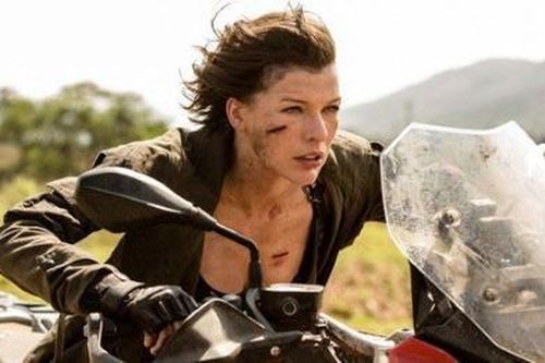 Bi kịch của những diễn viên đóng thế ở Hollywood