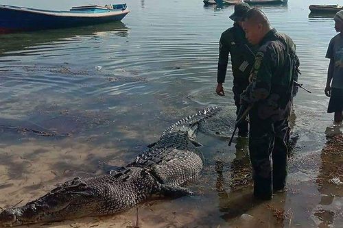Phát hiện thi thể trong hàm cá sấu khổng lồ ở Philippines