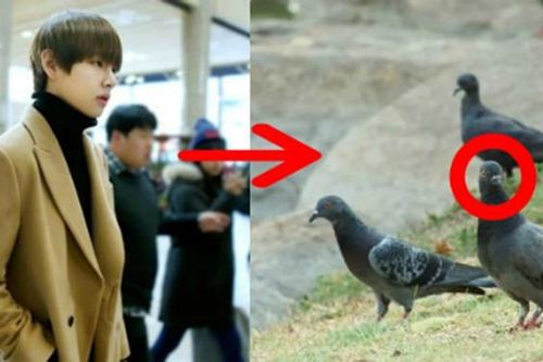 BTS: V hình dung về bản thân trong 10 năm tới, sống đầm ấm bên vợ, con…