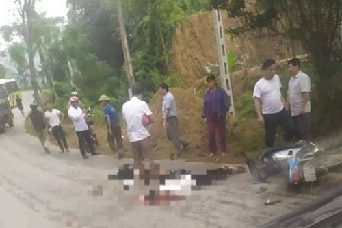 Hai vợ chồng thương vong do đâm phải chó thả rông trên đường