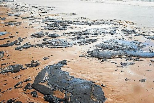 Ô nhiễm dầu ở Brazil: Venezuela bác bỏ trách nhiệm