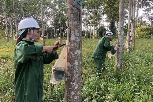 Ổn định đời sống, thu nhập cho công nhân