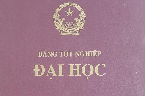 Có nên ghi hình thức đào tạo vào bằng đại học?