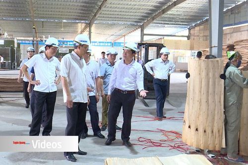 Chủ tịch UBND tỉnh Phạm Minh Huấn khảo sát tại huyện Sơn Dương