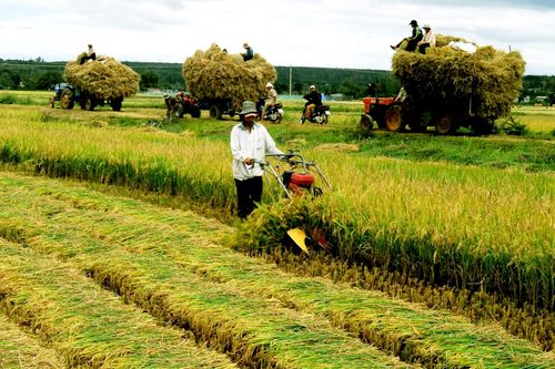 Không để nông dân loay hoay với hội nhập