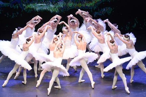Nghệ sĩ múa Lê Ngọc Văn: Dựng được 'Hồ thiên nga' là tham vọng nghệ thuật lớn với mọi đoàn múa