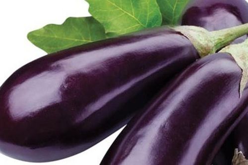 Những bộ phận cây, củ độc hơn thạch tín, chớ dại ăn kẻo 'hối không kịp'