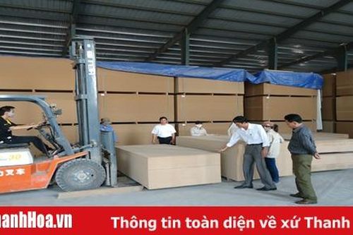 Liên đoàn Lao động huyện Như Xuân đồng hành cùng đoàn viên, người lao động