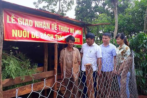 Chư Sê: Hỗ trợ hộ nghèo nuôi dê Bách Thảo