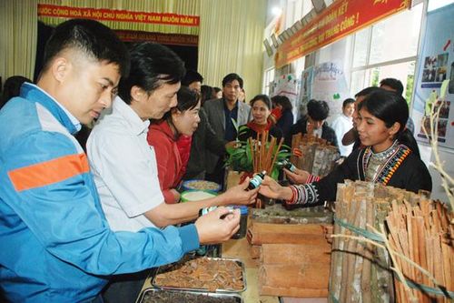 Sản xuất nông nghiệp hữu cơ - xu hướng tất yếu