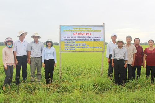 Nông dân được hưởng lợi nhiều từ dự án 'Cải thiện nông nghiệp có tưới'