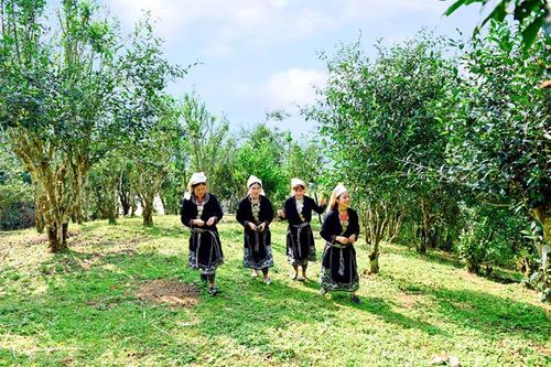 Bài cuối: Kiểm chứng từ thực tế