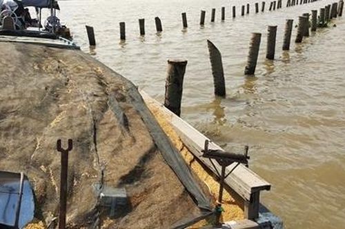 Ghe chở 26 tấn lúa bị chìm vì vướng bãi cọc trên sông Cổ Chiên