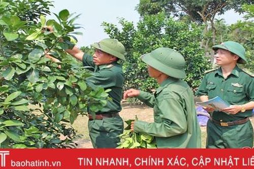 Nhờ BĐBP Hà Tĩnh, người dân vùng biên 'đoạn tuyệt' vào rừng săn bắt, lấy gỗ