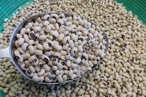 Hướng dẫn làm bột ngũ cốc cho người già