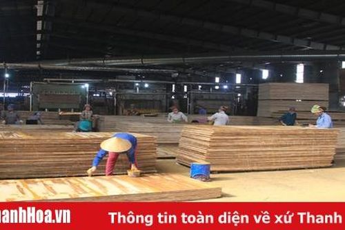 Tổng giá trị sản xuất huyện Triệu Sơn đạt 77% kế hoạch