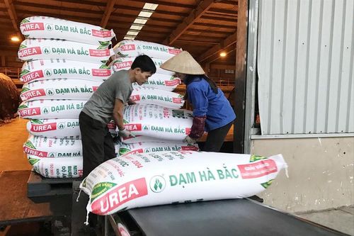 Doanh nghiệp kêu cứu vì phân bón giả
